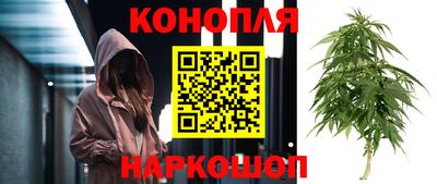 гидра Бузулук