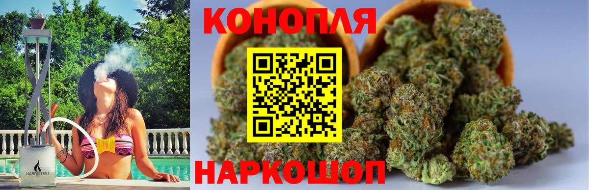 Бошки Шишки сатива Аксай